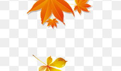 枫叶动漫,描绘东方奇幻的绚丽画卷